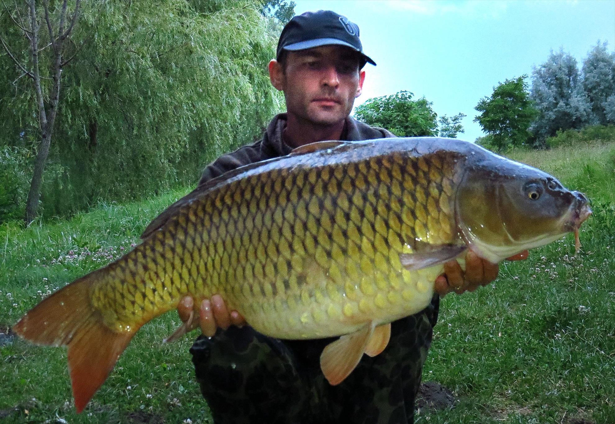 Palici - img5495-1363-f.jpg